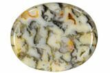 Polished Crazy Lace Agate Worry Stones - 1.9" Size - Photo 3